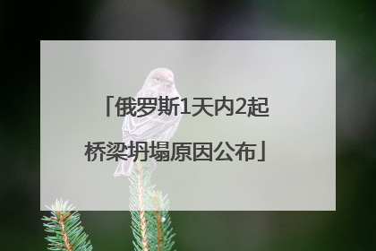 俄罗斯1天内2起桥梁坍塌原因公布