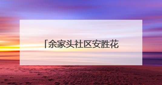 余家头社区安胜花园片区党支部开展廉政主题党日活动