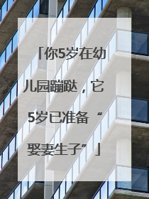 你5岁在幼儿园蹦跶，它5岁已准备“娶妻生子”