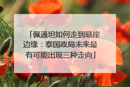 佩通坦如何走到悬崖边缘：泰国政局未来最有可能出现三种走向