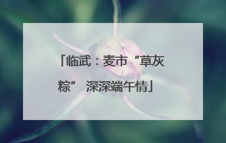 临武：麦市“草灰粽” 深深端午情