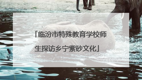 临汾市特殊教育学校师生探访乡宁紫砂文化