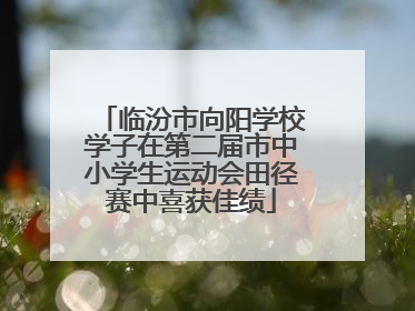临汾市向阳学校学子在第二届市中小学生运动会田径赛中喜获佳绩