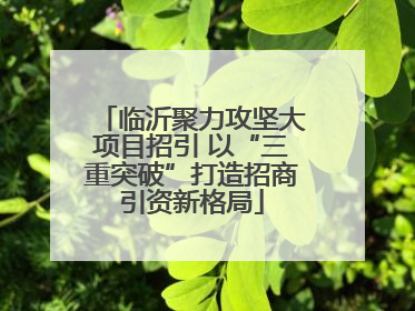 临沂聚力攻坚大项目招引 以“三重突破”打造招商引资新格局