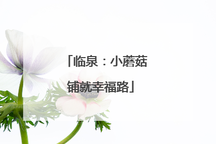 临泉：小蘑菇铺就幸福路