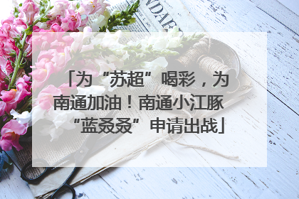 为“苏超”喝彩，为南通加油！南通小江豚“蓝叒叒”申请出战