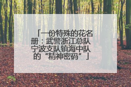 一份特殊的花名册：武警浙江总队宁波支队镇海中队的“精神密码”