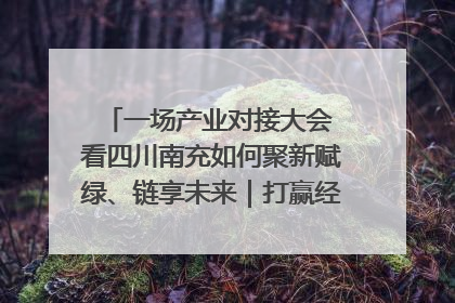 一场产业对接大会 看四川南充如何聚新赋绿、链享未来｜打赢经济发展翻身仗