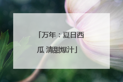万年：夏日西瓜 清甜爆汁