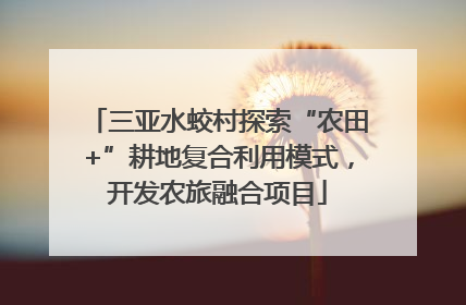 三亚水蛟村探索“农田+”耕地复合利用模式，开发农旅融合项目