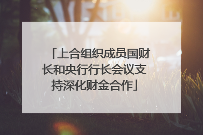 上合组织成员国财长和央行行长会议支持深化财金合作