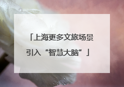 上海更多文旅场景引入“智慧大脑”