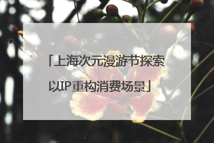上海次元漫游节探索以IP重构消费场景