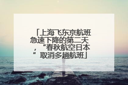 上海飞东京航班急速下降的第二天，“春秋航空日本”取消多趟航班