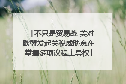 不只是贸易战 美对欧盟发起关税威胁意在掌握多项议程主导权