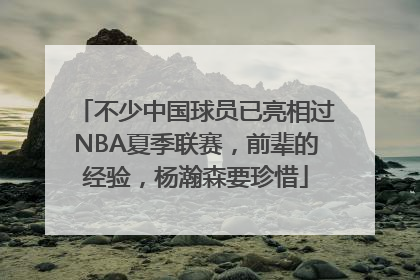 不少中国球员已亮相过NBA夏季联赛，前辈的经验，杨瀚森要珍惜