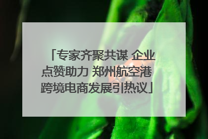 专家齐聚共谋 企业点赞助力 郑州航空港跨境电商发展引热议