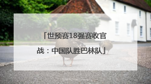 世预赛18强赛收官战：中国队胜巴林队