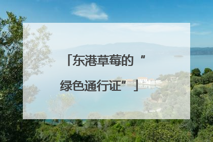 东港草莓的“绿色通行证”
