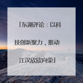 东湖评论：以科技创新聚力，推动江汉欣欣向荣