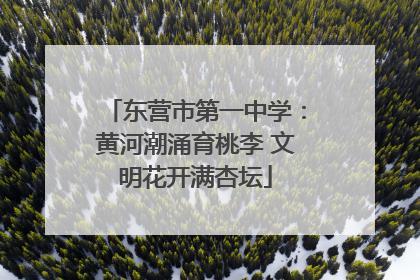 东营市第一中学：黄河潮涌育桃李 文明花开满杏坛