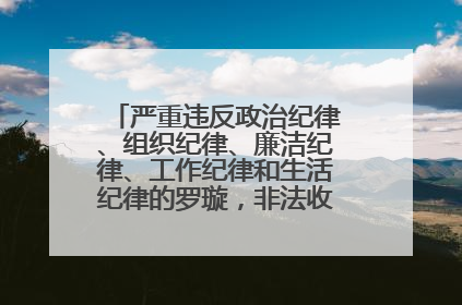严重违反政治纪律、组织纪律、廉洁纪律、工作纪律和生活纪律的罗璇，非法收受他人巨额财物