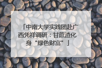 中南大学实践团赴广西凭祥调研：甘蔗渣化身“绿色财富”