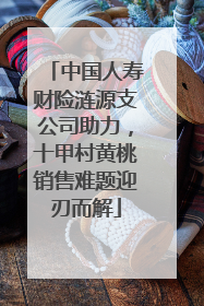 中国人寿财险涟源支公司助力，十甲村黄桃销售难题迎刃而解