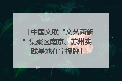 中国文联“文艺两新”集聚区南京、苏州实践基地在宁授牌