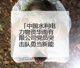 中国水利电力物资华南有限公司党员突击队勇当新能源市场开拓排头兵