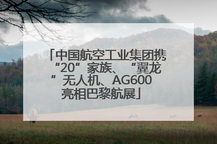 中国航空工业集团携“20”家族、“翼龙”无人机、AG600亮相巴黎航展