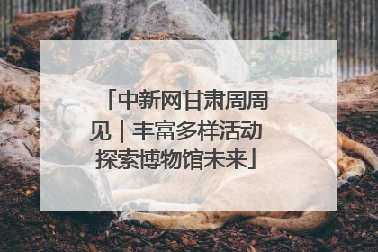 中新网甘肃周周见｜丰富多样活动探索博物馆未来