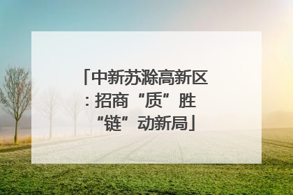 中新苏滁高新区：招商“质”胜 “链”动新局