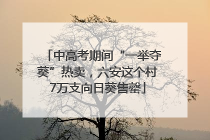 中高考期间“一举夺葵”热卖，六安这个村7万支向日葵售罄