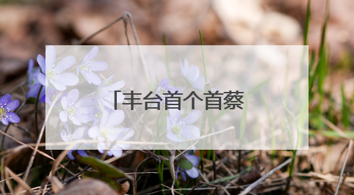 丰台首个首蔡精品超市落户六里桥街道