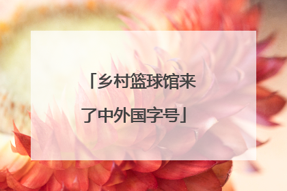 乡村篮球馆来了中外国字号