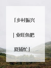 乡村振兴｜业旺鱼肥夏捕忙