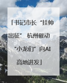 书记市长“挂帅出征” 杭州催动“小龙们”向AI高地进发