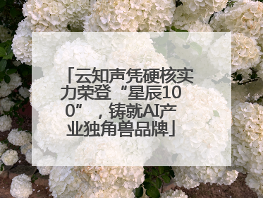 云知声凭硬核实力荣登“星辰100”，铸就AI产业独角兽品牌