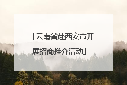 云南省赴西安市开展招商推介活动