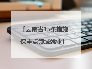 云南省15条措施保重点领域就业
