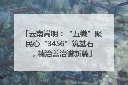 云南嵩明：“五微”聚民心“3456”筑基石，精治善治谱新篇