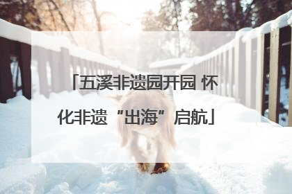 五溪非遗园开园 怀化非遗“出海”启航