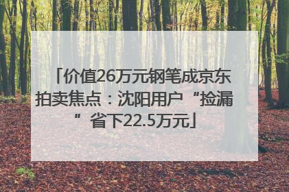 价值26万元钢笔成京东拍卖焦点：沈阳用户“捡漏”省下22.5万元