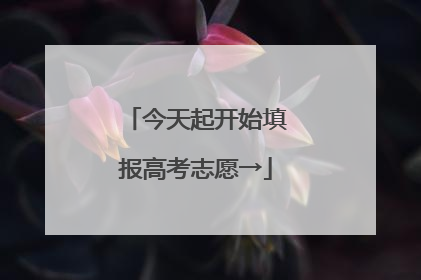 今天起开始填报高考志愿→