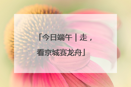 今日端午｜走，看京城赛龙舟