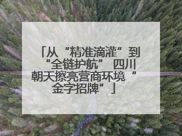 从“精准滴灌”到“全链护航” 四川朝天擦亮营商环境“金字招牌”