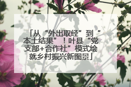 从“外出取经”到“本土结果”！叶县“党支部+合作社”模式绘就乡村振兴新图景