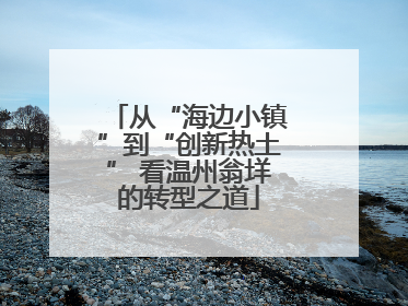 从“海边小镇”到“创新热土” 看温州翁垟的转型之道