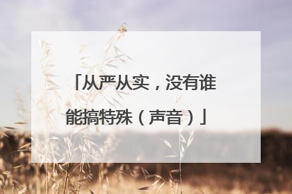 从严从实，没有谁能搞特殊（声音）